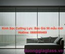 Kính Sọc Cường Lực: Báo Giá 50 mẫu mới